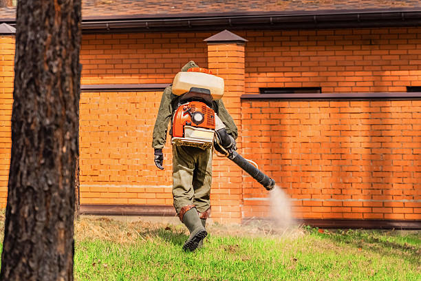 Trusted Bed Bug Control service in Port Edwards, WI - Nex Pest Control